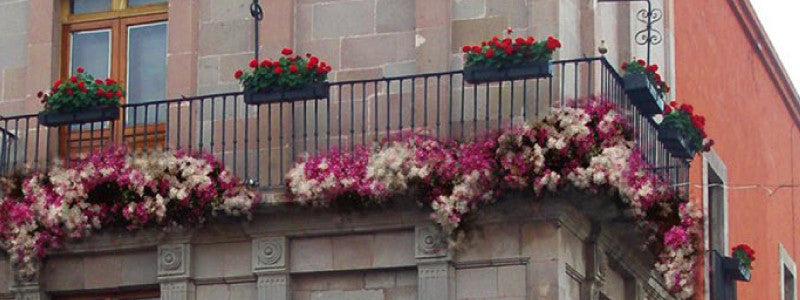 Jardineras Colgantes, Centro Histórico Querétaro
